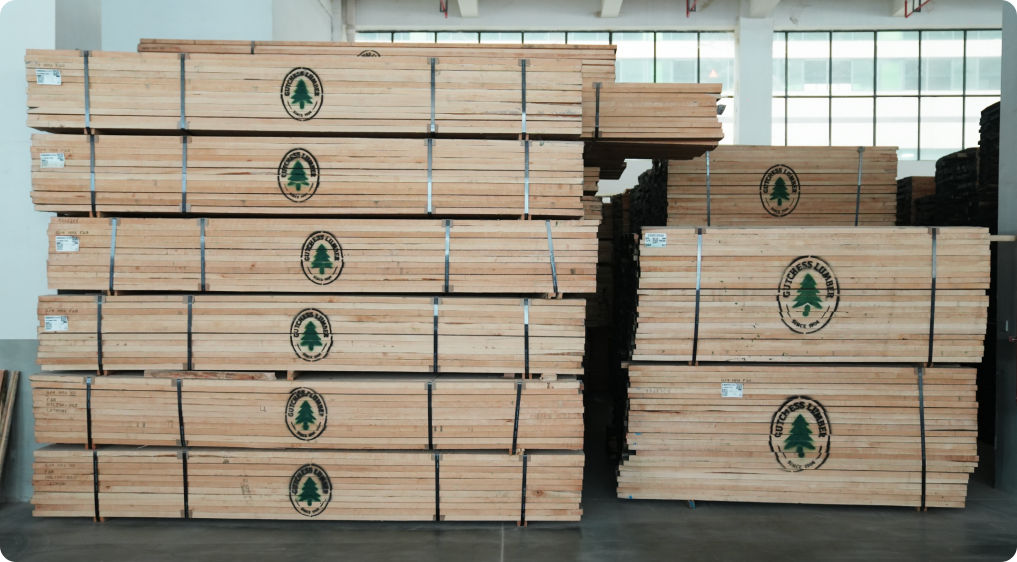 Environmental Responsibility